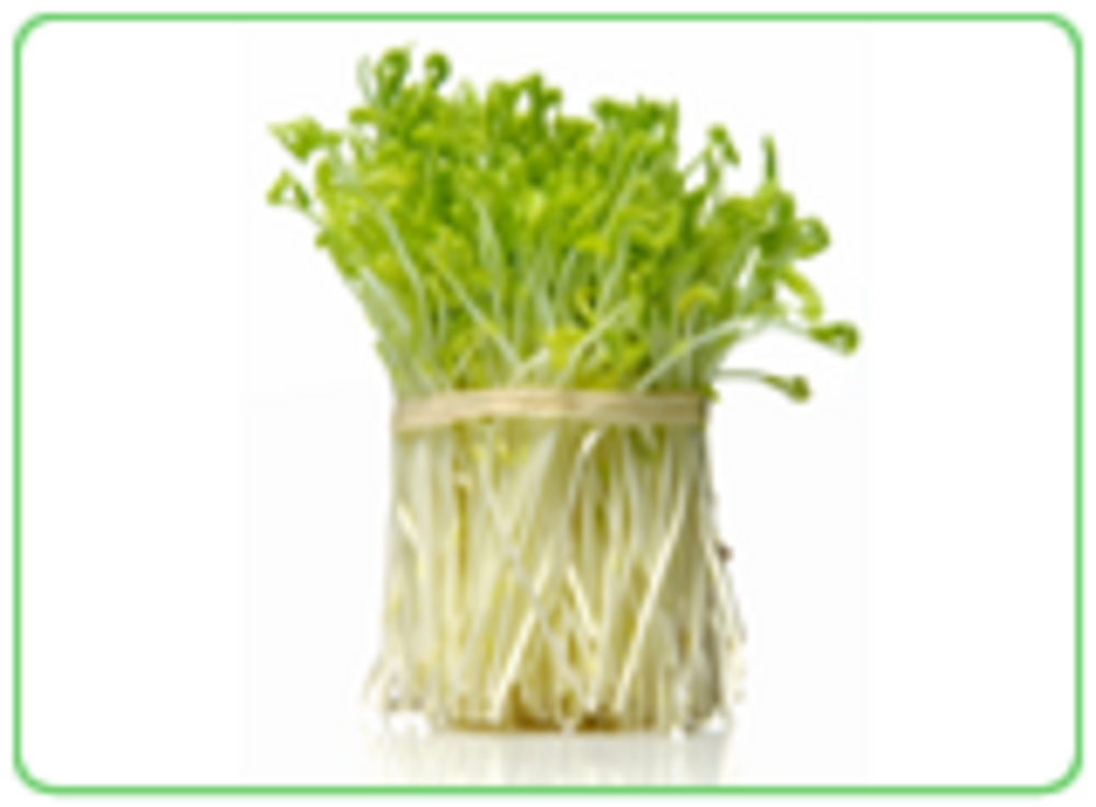 green shoots part of a raw food diet